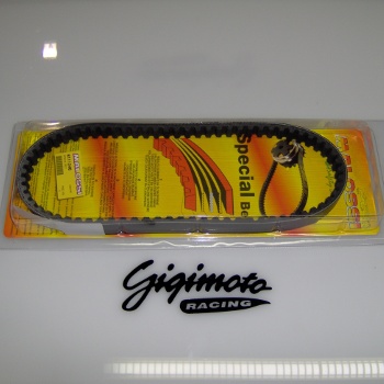 Cinghia Malossi Special Belt Piaggio art.6111246