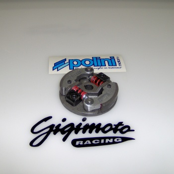 Frizione Polini Reverse