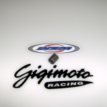 Gabbia spinotto BZM