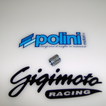Gabbia spinotto Polini