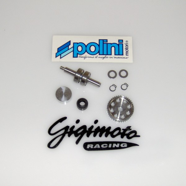 Kit revione pompa acqua Polini motore Piaggio albero inox